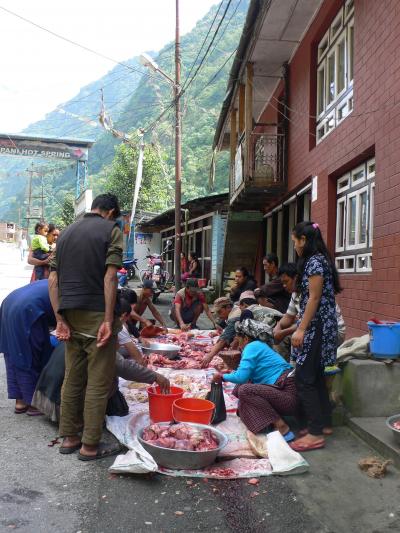 ヒマラヤ縦走3000kmの旅 10（ジャンム～コダリ～カトマンズ）