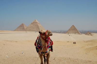 ２００９☆エジプト旅行記☆1日目　ギザ・カイロ 作成中☆