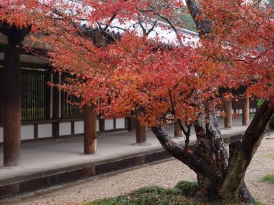 ２００９　秋　奈良へー５　１０００冊記念　法隆寺　紅葉