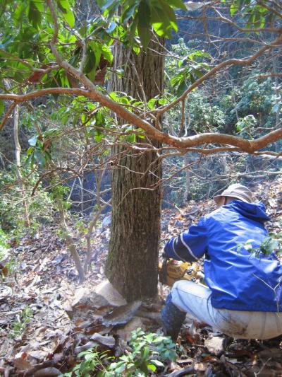 ７２京丹波町秘密基地　京丹波町⑱お爺さんは、若者と山に芝刈り