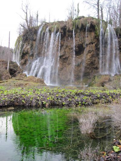 ハネムーン~8日目~