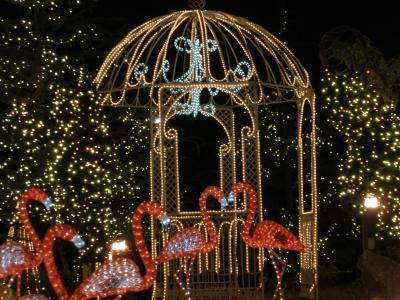 「ららぽーと甲子園」のクリスマスイルミネーション