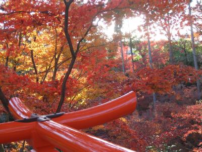 今日は嵐山観光がメインですが、予定が盛り沢山…（広隆寺→トロッコ列車と保津川下り→北野天満宮→千本釈迦堂）