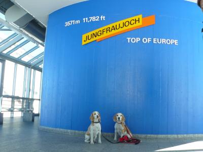 ヨーロッパの旅 スイス ユングフラウ