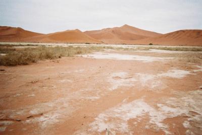 南アフリカ　ナミビアとビクトリア旅行記⑥ナミブ砂漠
