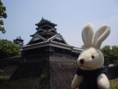 熊本城を見に