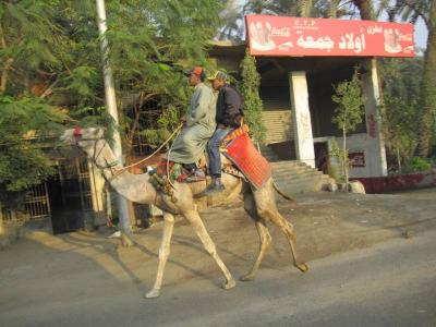 カイロ：その他