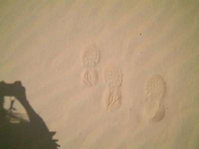 チュニジアその3