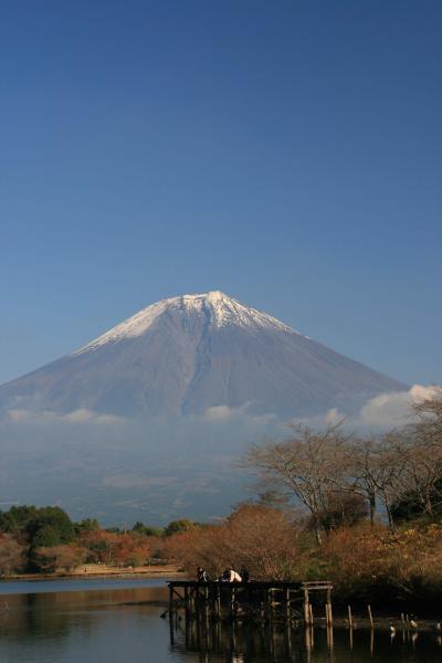 富士山周遊・湧水と紅葉そしてチョイス伊豆の旅