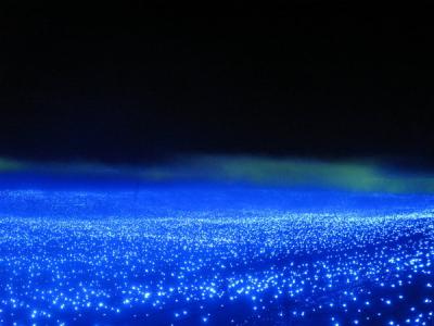 まるで別世界☆なばなの里