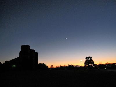 クリスマス気分の根岸森林公園周辺