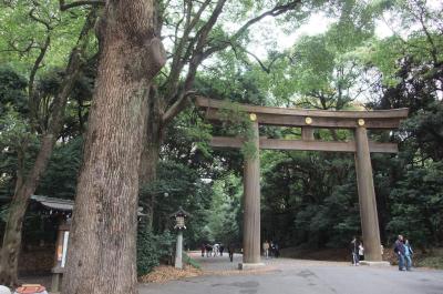 清正井　（きよまさ　いど　）　～　明治神宮御苑　