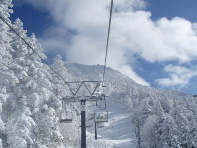 スキーに行ってきました