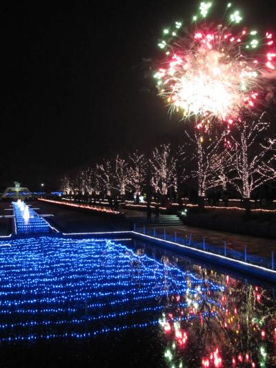 初めての昭和記念公園イルミネーション・ナイト（1）立川駅前～シャンパングラス・ツリーのあるカナールと大噴水