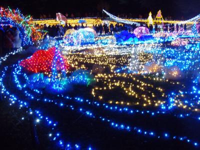 国営立川記念公園へ　イルミネーションを見に行きました