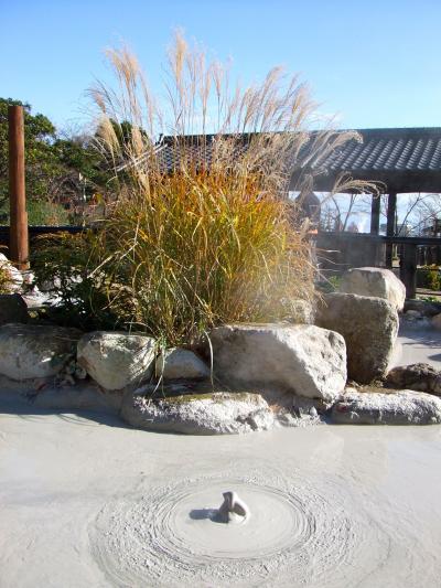 ♪別府地獄めぐりと湯布院の旅-その2~鬼石坊主地獄~山地獄