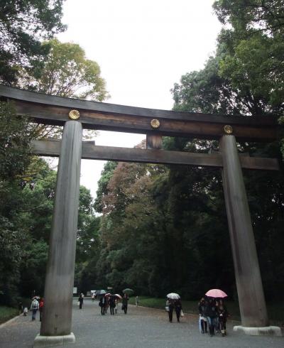 明治神宮 ~ 結婚式に遭遇・ 奉納「菊の花」