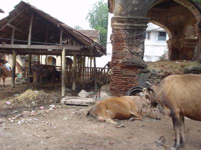 南インド１１：　タンジャブール　「貧しき下町」　と　「宮殿跡」 