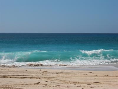 家族旅行@HNL! Day1