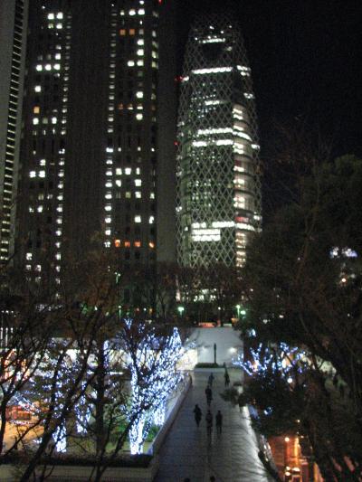 12月の新宿の超高層ビルと夜景
