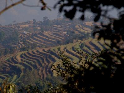 ネパール一人旅?*・゜・*ヒマラヤ見えるかな？ナガルコット*・゜・*