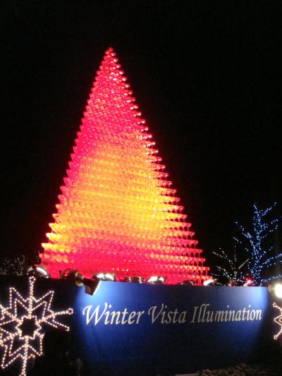 Winter Vista Illumination2009☆昭和記念公園【2009】