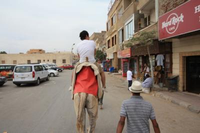 エジプト旅行記～その⑧ギザ編Ⅲ～