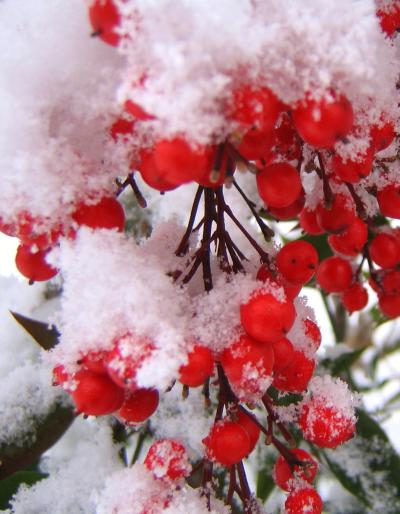 モノトーンに溶け込んで・・・雪見露天（下島温泉）