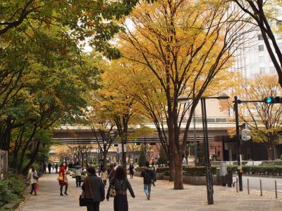 2009晩秋の新宿中央公園