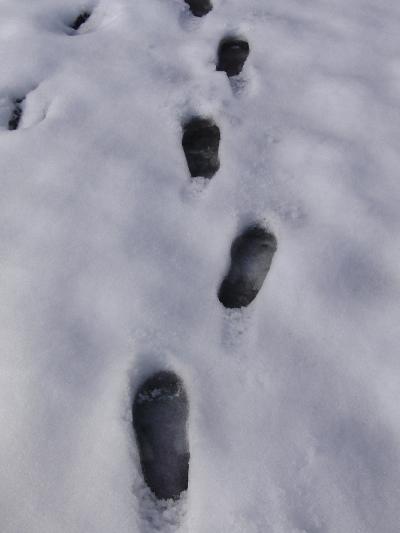 アイラブ仏像めぐり　雪の高月、観音の里【福井de満腹旅のつづき】