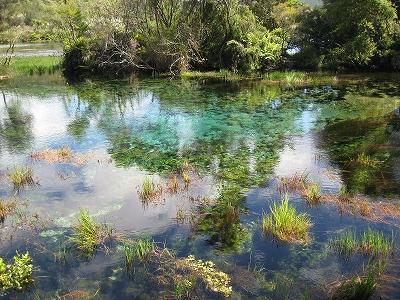 ’09-10南島ワイナリーめぐりと野生動物の旅⑤世界一の透明度　ププ・スプリングス