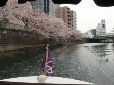 東京の水辺探訪クルーズ　目黒川編