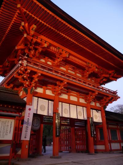 夕暮れの『糺の森』＆『下鴨神社』◆京都で紅葉三昧の一日【その３】