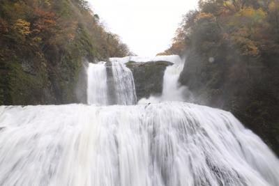 紅葉2009【茨城・栃木編】①