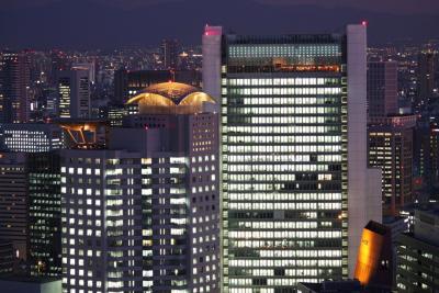 冬の季節こそ夜景！空中庭園より