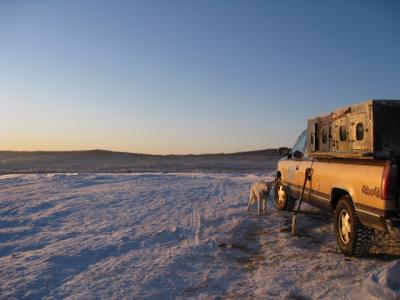 オーロラツアー