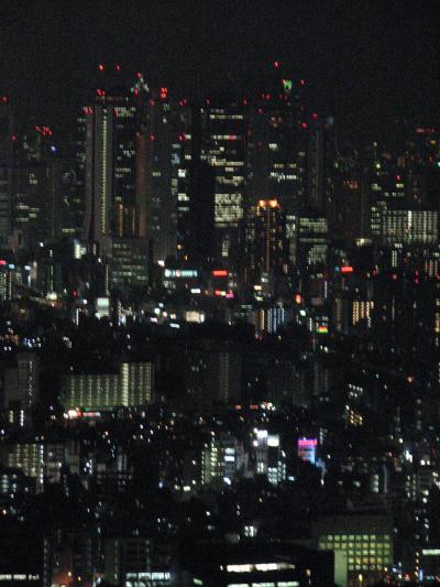 サンシャインシティ60展望台からの夜景を眺める①北、西側の夜景