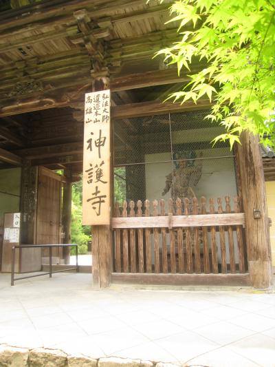 嵐山嵯峨野（3）嵐山～高尾パークウエィ・神護寺