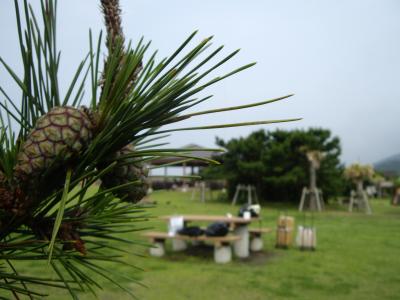 伊豆大島　初夏キャンプ