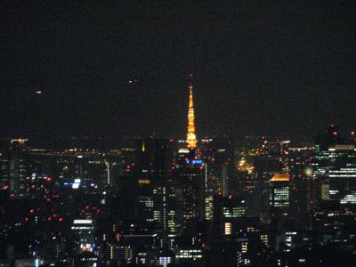 サンシャインシティ60展望台からの夜景を眺める②南側、東側の風景