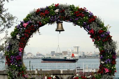 Wild flower garden Bluebonnet