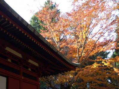 「高尾山～小仏城山　ウォーキング」2009秋