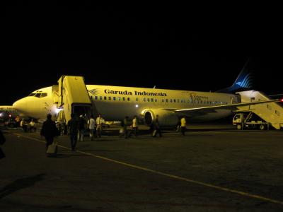 スラマッシィアン!ジャワ島&バリ島【1日目(10/8)】