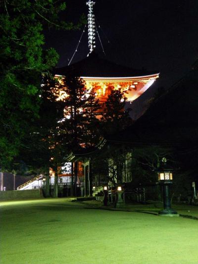 ライトアップ高野山