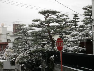 雪の初詣