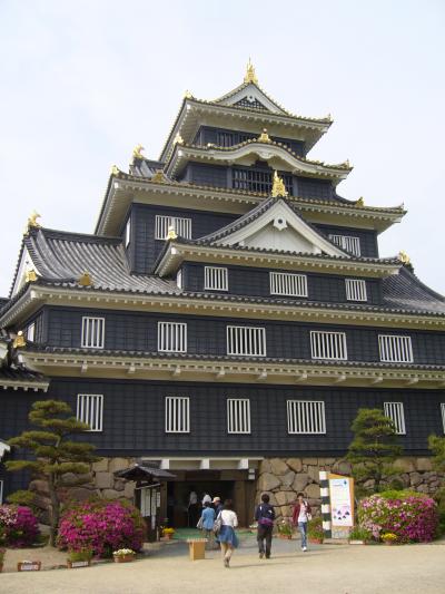 岡山の城