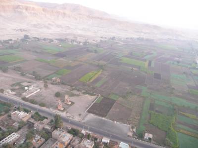 ・・・観光してみた