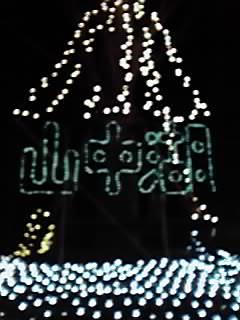 山中湖　花の都公園　イルミネーション