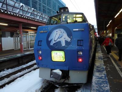 ２００９年　冬の北海道　旭山動物園＆テイネスキー場