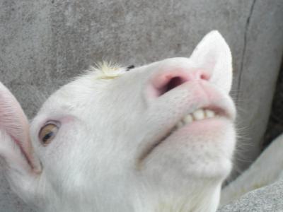 どんより宮古島 クリスマスなのに…